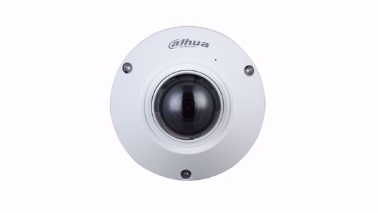 Dahua IPC-EB5541-AS WizMind Fisheye IP Kamera 2,4mm 5MP