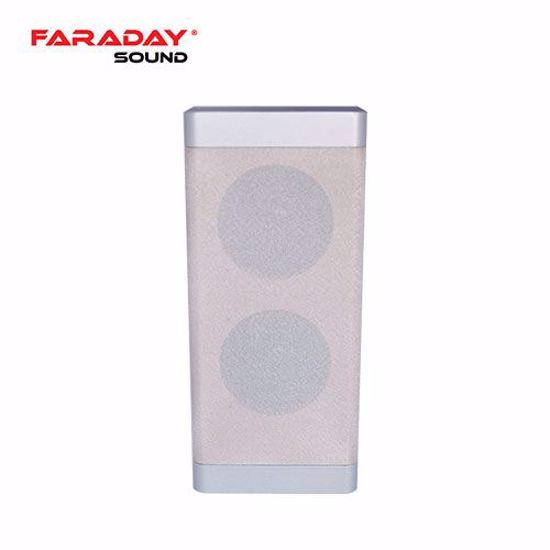 Slika od Faraday FD-BE220 zidni zvucnik 20W