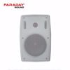 Slika od Faraday FT-204 zidni zvucnik 20W